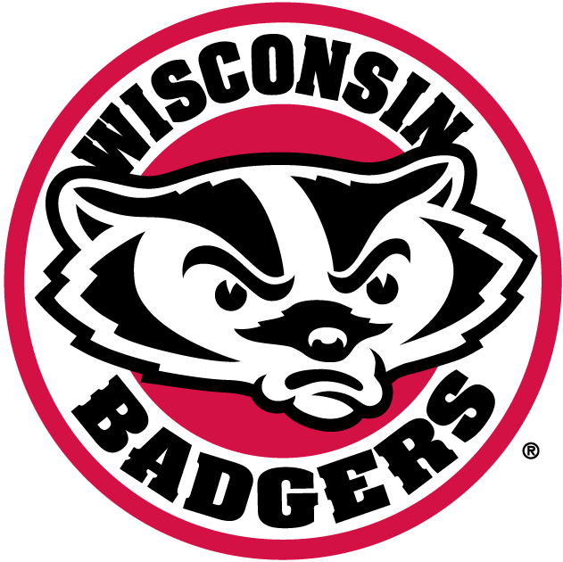 Wisconsin Badgers 2002-Pres Alternate Logo v2 diy fabric transfer